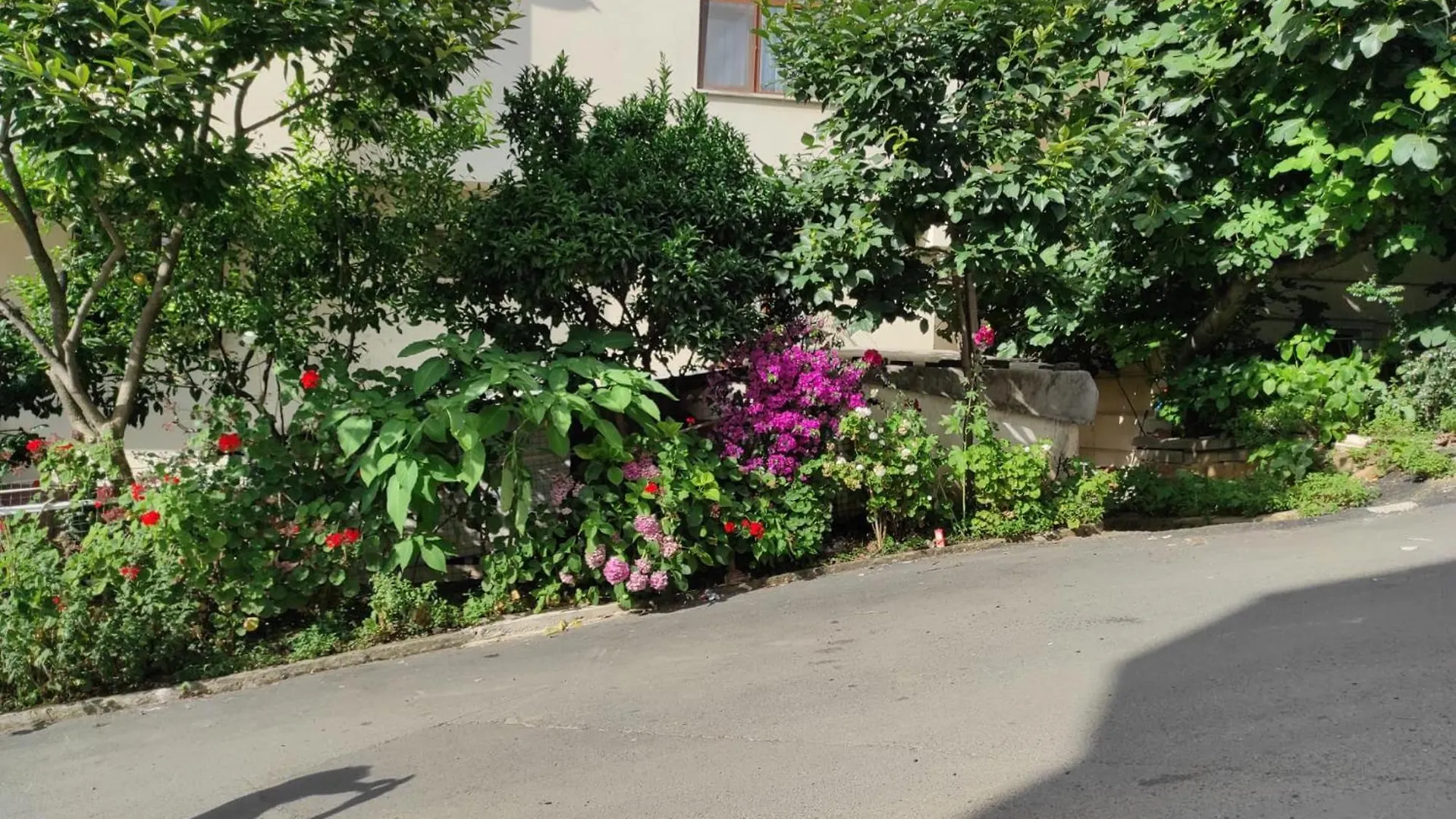 公寓式酒店 Miamia Apart Otel Bostanci